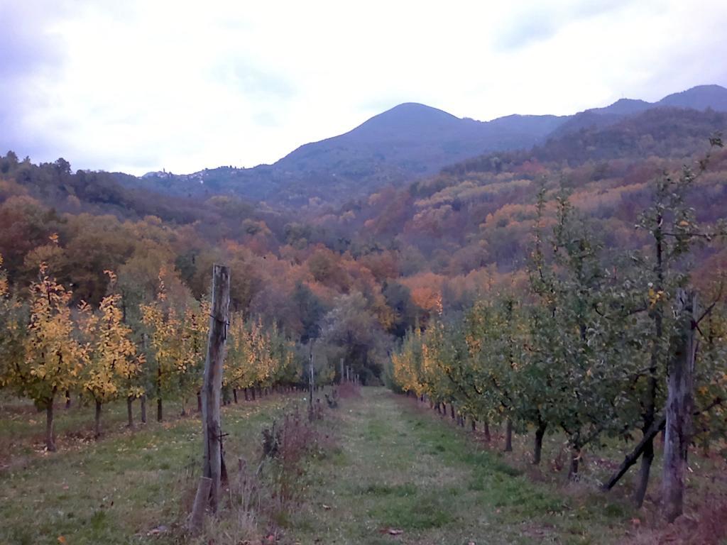 Il Melo Vila Fivizzano Exterior foto